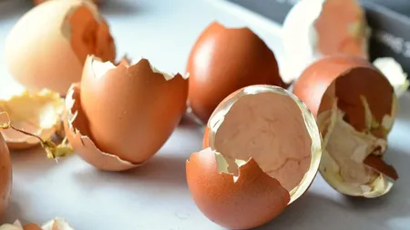 Pune câteva coji de ouă în congelator. Trucul care va ajuta orice gospodină!