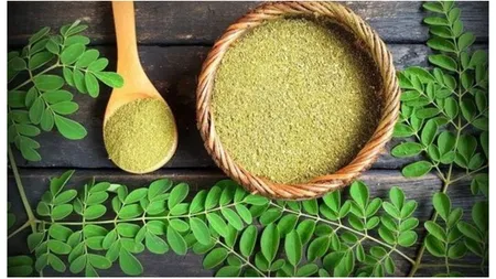 Planta minune care vindecă peste 300 de boli. Conţine majoritatea mineralelor şi vitaminelor de care organismul uman are nevoie