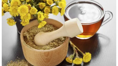 Ceaiul de podbal, băutura care reduce inflamaţia şi poate trata tusea cronică