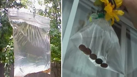 Pune la geam și la ușă o pungă cu apă și monede. Rezultatul este excelent! Trucul pe care trebuie să îl știe orice gospodină!