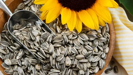 Semințele de floarea-soarelui, minune pentru organism. Acestea reduc atacurile de cord, tensiunea arterială și vin la pachet cu vitamine importante