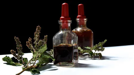 Uleiul esenţial de patchouli face minuni pentru organism. Reduce depresia și tensiunea arterială și te ajută să scapi de kilogramele în plus! Toți românii trebuie să știe acest secret!