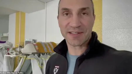 Fraţii Klitschko sunt peste tot: vizitează maternităţi, sunt în linia întâi pe baricade sau oficiază nunţi