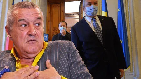 EXCLUSIV Gigi Becali are numai cuvinte de laudă la adresa premierului Ciucă: 