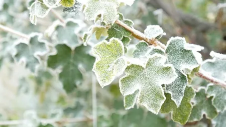 Val de aer polar peste România înainte de Florii. Alertă meteo COD GALBEN de vânt şi temperaturi scăzute