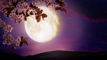Horoscop special Luna plina roz in Balanta 2022. Cum sunt afectate zodiile in weekend