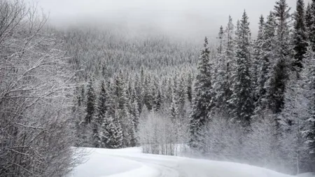 Prognoza meteo 20 aprilie. Vreme rece în toată ţara. Ninsori la munte şi se va mai depune un nou strat de zăpadă