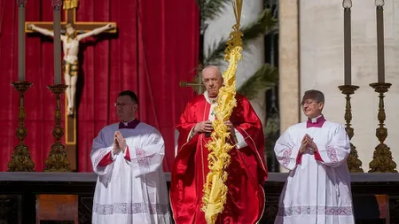 Papa Francisc deplânge 