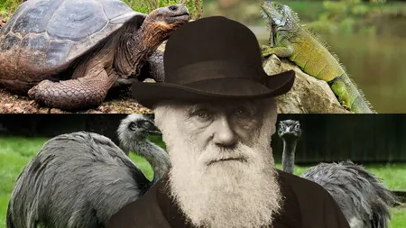 Dieta lui Charles Darwin. Ce obişnuia să mănânce părintele evoluţionismului în numele ştiinţei