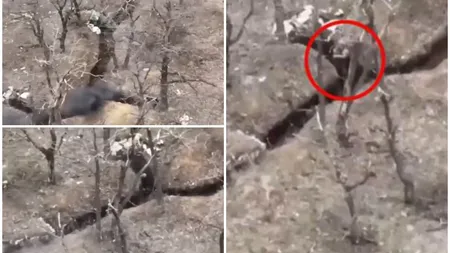 Videoclip viral! Aflat în tranşee şi atacat de ruşi cu grenade, un soldat ucrainean le aruncă înapoi proiectilele