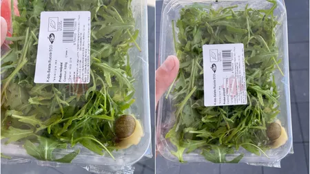 Surpriză nedorită într-o caserolă cu rucola. Ce a descoperit printre frunze un bărbat care a cumpărat produsul dintr-un hipermarket