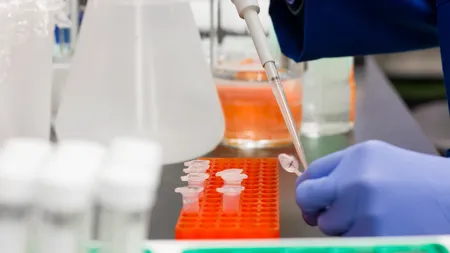 Două noi sub-variante ale Omicron se pot sustrage anticorpilor generați de infectarea cu Covid. Studiul îngrijorător al specialiștilor