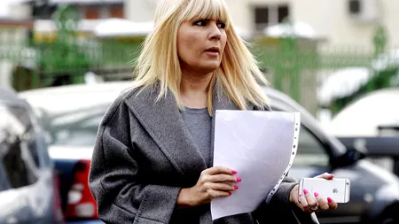 Elena Udrea mai are de aşteptat în Bulgaria. De ce se amână extrădarea fostului ministru