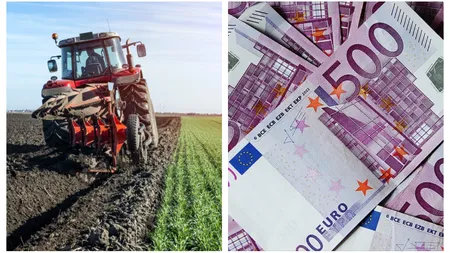 Se dau bani de la stat! Fermierii ar putea primi subvenţii de 35.000 de euro