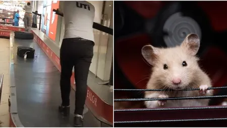 Situație caraghioasă la Aeroportul Otopeni. Angajații au fost urcați pe bandă, ca hamsterii (VIDEO)