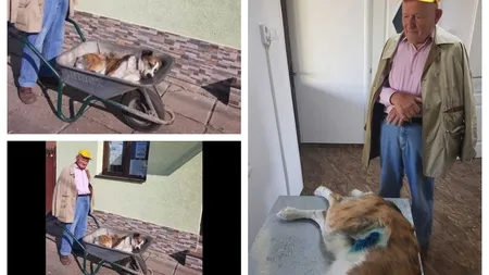 Un bătrân de 84 de ani din Satu Mare şi-a dus câinele 8 km cu roaba până la veterinar