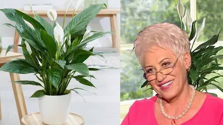 Care e floarea care îţi aduce noroc în dragoste. Lidia Fecioru: 