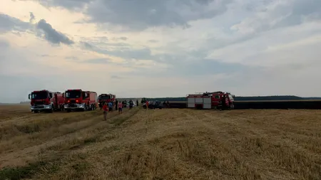 Sute de hectare de culturi agricole din România, distruse de incendii