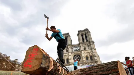 Istoria, refăcută cu sunetul dălţii pe piatră şi al toporului în lemn. Catedrala Notre Dame este reconstruită cu tehnici medievale FOTO şi VIDEO