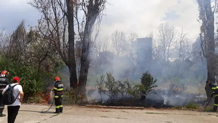 Incendiu în parcul IOR din Bucureşti. A luat foc vegetaţia uscată