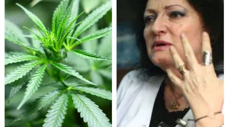 Dr. Monica Pop susține legalizarea canabisului:”E legalizată morfina și nu legalizează canabisul? E o prostie incomensurabilă”