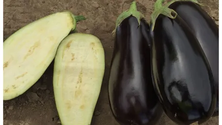 Cum alegi vinetele fără seminţe. Trucul fabulos pe care trebuie să-l ştie orice gospodină