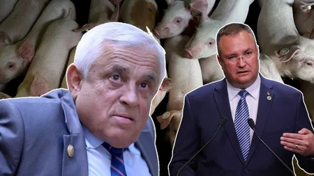 Premierul Nicolae Ciucă i-a cerut lui Petre Daea să ia măsuri în ceea ce privește siguranța alimentară și în privința combaterii pestei porcine