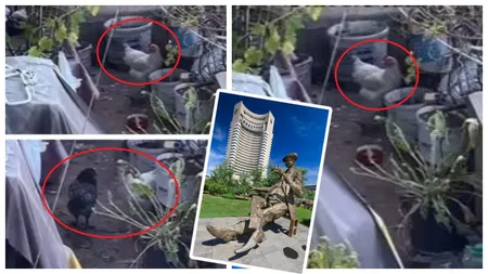 Imagini de noaptea minții! Balconul unei familii dintr-un bloc aflat în centrul Capitalei, transformat în coteț pentru găini