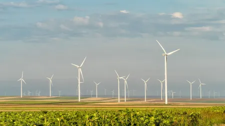 Avantajul avertizărilor de vânt puternic: Eolienele produc peste 40% din energia țării