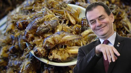 Ludovic Orban, reacţie dură după ce AUR a cerut interzicerea consumului de insecte. 