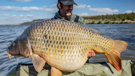 Monstrul din Lacul Horgeşti a fost prins! Crapul de 30 de kilograme a fost vânat ani de zile de pescari