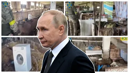 Soldaţii ruşi locuiau în cocină cu porcii, în Herson. Imagini şocante din teritoriile eliberate de ucraineni VIDEO