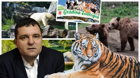 Nicușor Dan vrea o nouă grădină zoologică de 60 de hectare în București. Unde va fi amplasată