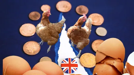 Marea Britanie se confruntă cu cea mai gravă epidemie de gripă aviară din istorie! Restricţii la achiziţiile de ouă