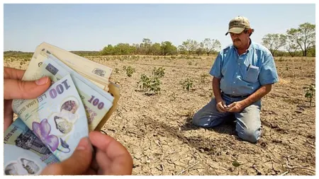 Bani de la stat pentru agricultori. Cine sunt fermierii care vor beneficia de ajutorul de 1.500 de lei pe hectar