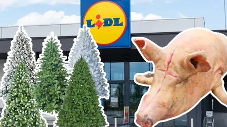 Ofertele cu care Lidl va da lovitura de Sărbători. Unele produse se pot rezerva online. Preţuri pentru toate buzunarele