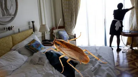 Ce trebuie să știi înainte de a te caza la hotel. Dezvăluirile șocante făcute de un expert