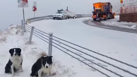 Transalpina și Transfăgărășan se închid. Circulația rutieră, interzisă pentru toate categoriile de autovehicule