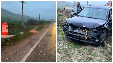 Accident dramatic în Sălaj. Un șofer a ucis 21 de oi