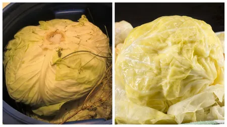 Cum să faci cea mai bună varză murată. Trucul care o va ajuta să reziste până la primăvară
