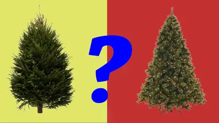 De ce este un brad artificial mai dăunător pentru mediu decât tăierea unui brad natural. Cât este recomandat să păstrăm brazii de plastic