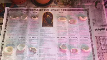 Calendarul foilor de ceapă. Metoda inedită prin care gospodinele din Ardeal cum va fi vremea în 2023