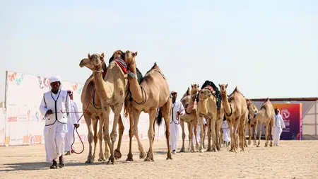 Avertizare medicală din Qatar! Virusul mai grav decât Covid care a lovit inclusiv naţionala Franţei