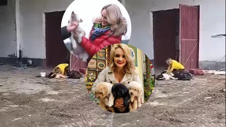Amalia Bellantoni încearcă să readucă la viaţă un câine mort. Imagini tulburătoare cu vedeta care îi face respiraţie gură la gură patrupedului