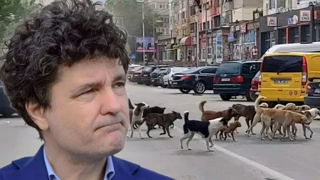 Nicuşor Dan recunoaşte că, în Bucureşti, problema câinilor abandonaţi este una îngrijorătoare: 