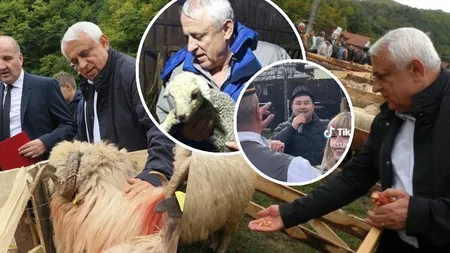 Petre Daea a ajuns personaj de cântec popular după ce a spus că 