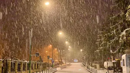 Ninsori, lapoviță și viscol în mai multe zone din țară. Când ninge la București. Prognoza meteo 23 ianuarie - 5 februarie 2023 în România