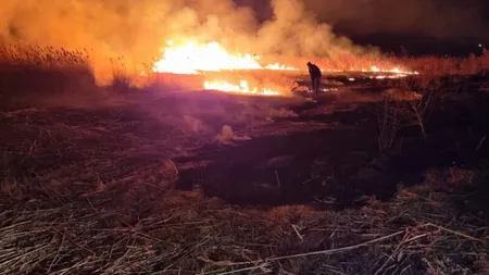 Incendii uriașe în Delta Dunării! Peste 100 de hectare de vegetație uscată s-au făcut scrum
