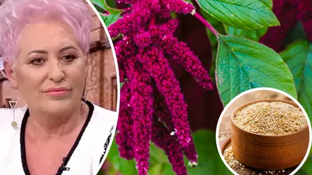 “Planta frumuseţii veşnice”, bogată în proteine şi minerale, o adevărată binecuvântare pentru sănătate. Lidia Fecioru: 
