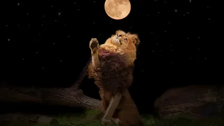 Ritual de Luna plină în Leu. Cum să profiți de energia zilei de 5 februarie 2023